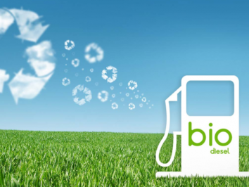 Biodiesel e saúde humana: uma proposta que une sustentabilidade e saúde pública